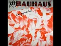 Download Lagu CAPPELLA (Bauhaus) [1988]