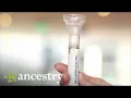 AncestryDNA How to Submit Your AncestryDNA Sample Ancestry
