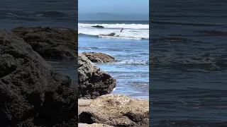 Stinson beach.. #fyp #dream #doberman #pets #youtube