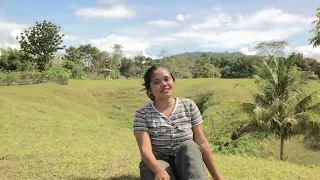 hari hari cinta cipta evie tamala cover fensi tae