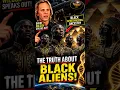 DAVID WILCOCK REVEALS BLACK EXTRATERRESTRIAL ANCESTRY The Hidden Alien Connection