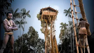 The Amazing Korowai Tribe Build a Treehouse - High in the Rainforests of Papua