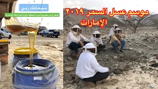                              دندنها