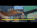 Post Malone - Go Flex Acoustic Karaoke