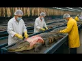 Lagu Inside the Crocodile Factory: How Crocodile Skin Becomes a Luxury Product (Full Process)