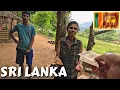 Lagu Are Villagers Honest In Sri Lanka? I Paid 100x More 🇱🇰