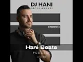 Download Lagu DJ HANI Hani Beats 3