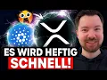 Download Lagu WAHNSINNS XRP Gerücht - zeitnahe AKTIVIERUNG !? Cardano (ADA) auf 10$ ?