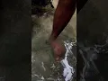 Download Lagu Natural fish spa in Erawan water falls #trending #travel #viralvideo #aquaspa #spaworld #spatravel