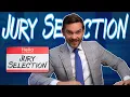 Jury Selection from a lawyer s POV