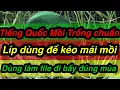 Download Lagu Tiếng Quốc mồi trống chuẩn dùng kẹp loa mùa chim bắt cặp .Hoặc kích mái mồi nhà không có trống kéo