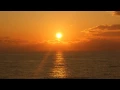 Fritz Kalkbrenner Tribute - The Sun (*NEW*) (2015)
