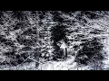Wintersun - Loneliness (Winter) | Acoustic/Synth Version