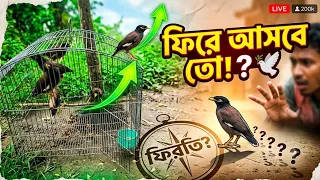 ​"মারাত্মক ভুল করে ফেললাম?! 😱 সব পাখি উধাও... ফিরে আসবে তো? 😭"