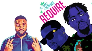 dj tunez require song review 