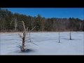 Aerial Footage at the Rt 12A wetlands in Plainfield NH 18