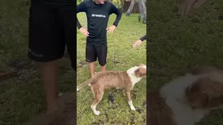 This place is amazing! Exploring Fakarava 🏝️#family #sailing #explore #viral