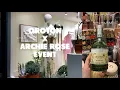 Download Lagu Oroton x Archie Rose Paddington Event | Shopping Night With Cocktails And Food Vlog