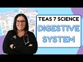 2025 ATI TEAS 7 Science Anatomy and Physiology Gastrointestinal System with Nurse Cheung