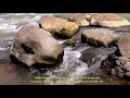 Action of Rivers