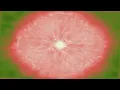 You Can t Kill a Witch - Vertigoaway Windows Media Player Visualizer