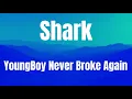 Shark || YoungBoy Never Broke Again || LYRICS