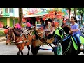 Download Lagu Naik delman istimewa~lagu anak populer Indonesia~lagu anak anak~delman kuda 