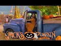 Jack s Pumpkin Pop Up Chicago IL