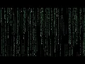 Matrix Rain Effect - Html OpenGL