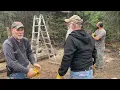 Building a low budget loafing shed 0 spent