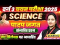 Download Lagu MPTET Varg 3 चयन परीक्षा 2025 | MPTET Varg 3 Science | Plant kingdom पादप जगत | By Namita Ma’am