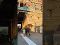 Download Lagu Mayuranathar Temple Mayiladuthurai, Tamil Nadu