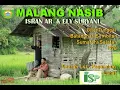 Download Lagu ISRAN AR \u0026 ELY SURYANI   *MALANG NASIB*    GITAR TUNGGAL   1978 BATANGHARI SEMBILAN SUMATERA SELATAN