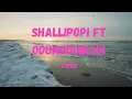 Shallipopi Ft Odumodublvck  Cast lyrics