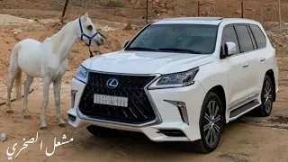 نشوم عن شرب الغثاريب   إدا خالد ال بريك    دندنها