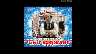 Богдан Малик Сніг кружляє Audio 