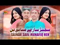 Download Lagu Sajnar Sare Munafiq Hen | DILSHAD SAQI | Shahid Haideri New Song 2025