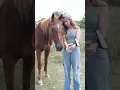 Download Lagu Horse watches Maya's TikTok