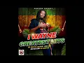 I Wayne Greatest Hits Mix [ Feat. Book Of Life, Lava Ground, Can't Satisfy Her, & More 🟥🟨🟩🌿💨