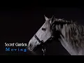 Secret Garden - Moving