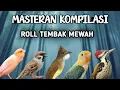 Download Lagu MASTERAN MURAI BATU TERBAIK UNTUK LOMBA ROLL TEMBAKAN JADIKAN MURAI BATU MATERI MEWAHJERNIH