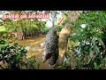 Download Lagu Gak masuk akal tapi memang ada keanehan saat memancing jarang sekali terjadi 