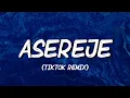 Download Lagu Asereje (TikTok Remix)