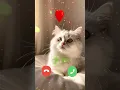 Download Lagu Best Ringtone Sound Effect 🔥🔥Mi Telephone Ringtone #shorts #ringtone #cat