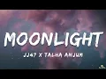 Moonlight - JJ47 x Talha Anjum (Lyrics) | ta editor