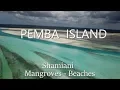 Download Lagu Pemba 🏝 Zanzibar : Amazing Drone Beach Scenery between Crystal Blue Water, Sandbanks \u0026 Mangroves