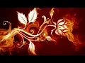 Lilium - If They Cheered