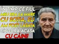 Download Lagu ÎN TIMP CE FIUL MEU ERA LA MARE CU SOȚIA, EU AM FOST LĂSATA SINGURĂ ACASĂ CU CÂINII