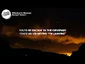 Morgan Wallen - Whiskey in Reverse (Lyrics)