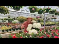 Garden Center Tour Awe-Inspiring Plant Ideas